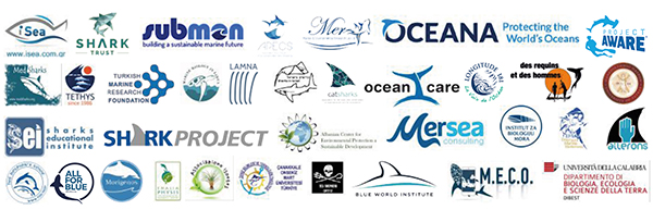 Joint Press Release – The reoccurring incidents of Great White Shark landings in Tunisia