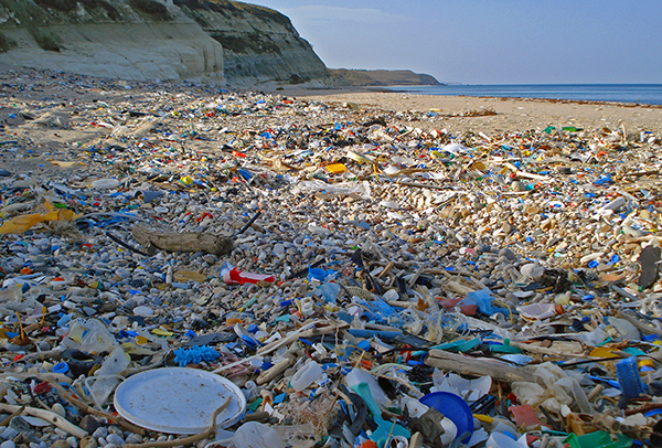 BM Plastik Atıklara Çözüm Getirmek Amacıyla Tarihi bir Karar Verdi!