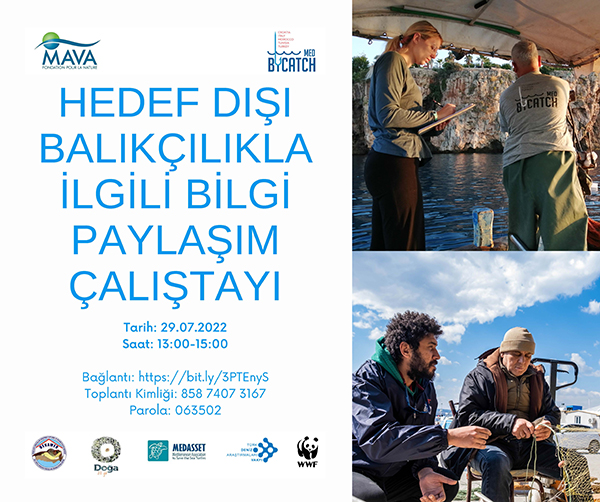 Hedef Dışı Balıkçılıkla İlgili Bilgi Paylaşım Çalıştayı
