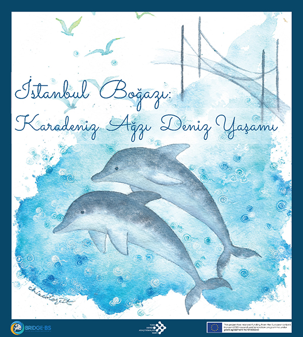 The Bosphorus Strait: Marine Life at the Black Sea Mouth