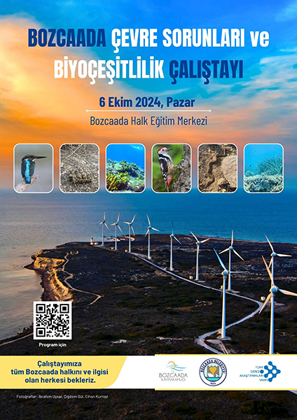 Bozcaada deniz çalıştayı TÜDAV Çanakkale Bozcaada'da denizel biyoçeşitlilik, sorunlar ve çözümler üzerine TÜDAV çalıştayı