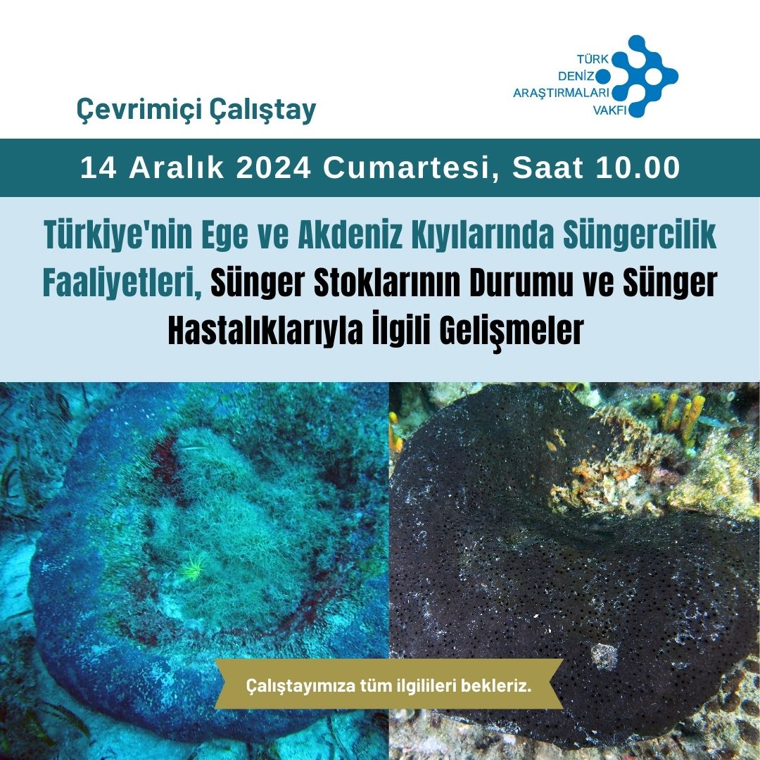 Sünger ve Süngercilik Çalıştayı TÜDAV Sünger ve Süngercilik Çalıştayı TÜDAV