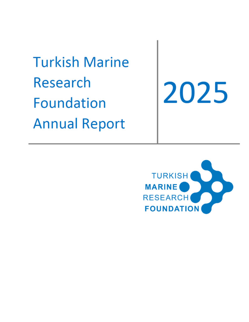 2025 Activity Report