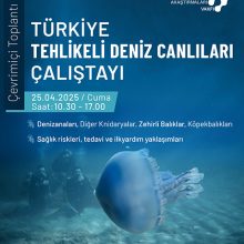 Türkiye Tehlikeli Deniz Canlıları Çalıştayı
