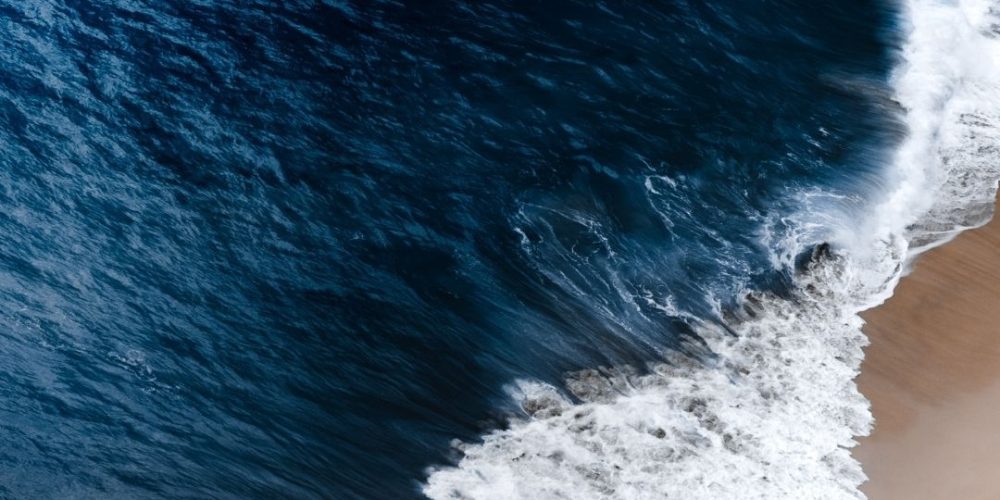 Denizlerimizle Beraber Yaşamak – Sibel Sezer – Aralık 2023