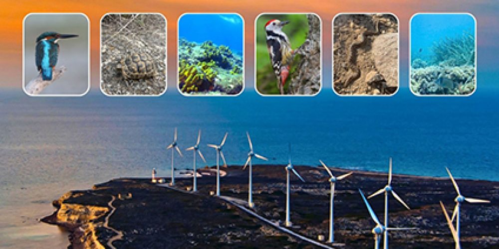 Bozcaada Çevre Sorunları ve Biyoçeşitlilik Çalıştayı